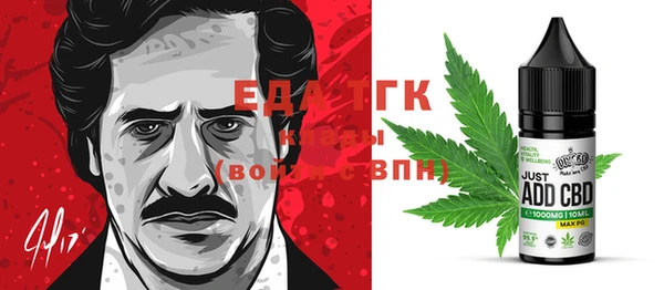 стаф Магас