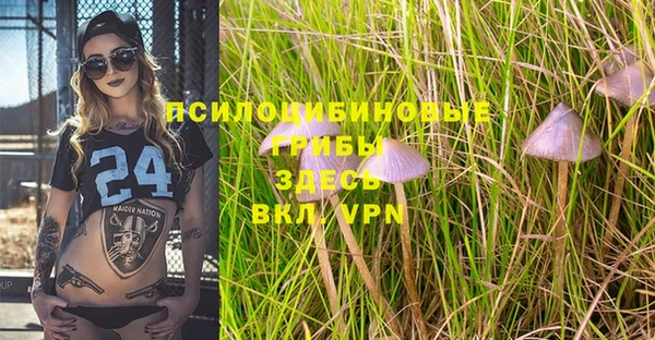 MESCALINE Медвежьегорск