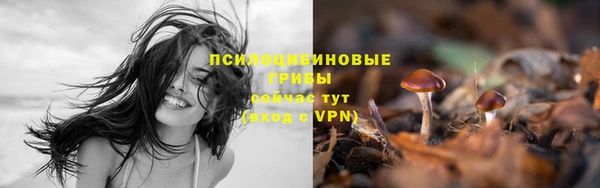 spice Ленск