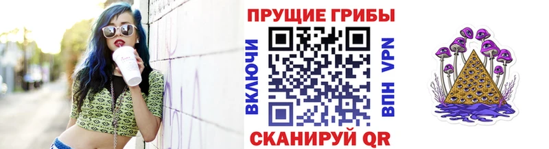 KRAKEN ССЫЛКА  цена наркотик  Нижняя Тура  Галлюциногенные грибы Psilocybine cubensis 